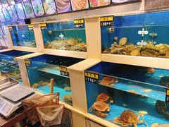 水产区-鲜鲜·鲅鱼圈海鲜(于洪店)