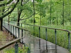 -昆山城市生态森林公园