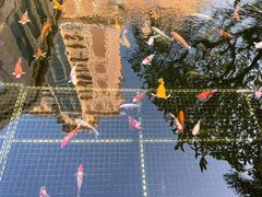 -番禺宾馆丽苑厅