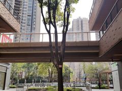 -瑞虹新天地月亮湾