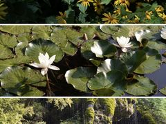 -百里山水画廊