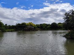-海珠湖公园