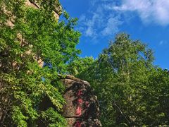-汤旺河林海奇石景区