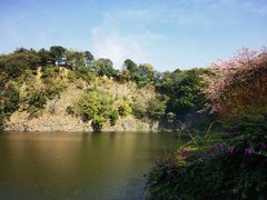 -王借岗森林公园