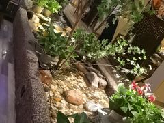 -小资太太(中央大街店)