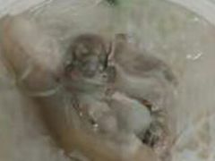 -文惠猪脚粉(富景小区店)