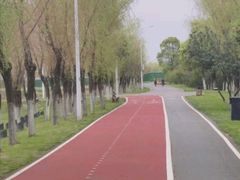 -艾溪湖湿地公园