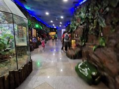 -上海大自然野生昆虫馆(东方明珠·爬宠昆虫探索中心)