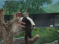 -黔灵山公园