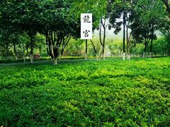 -龙头寺公园