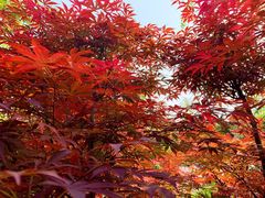 -驿舍·民國老营房院子私房菜(科学会堂店)