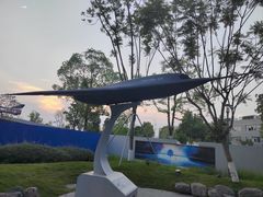-成飞公园