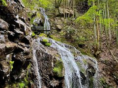 -藏龙百瀑风景区