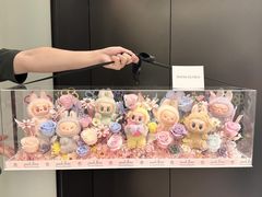 -泡泡玛特POPMART(合生汇店)