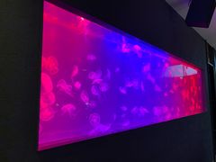 大堂-暹罗泰·泰国餐厅(仁和新城店)