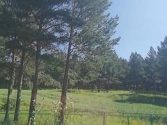 -塞罕坝国家级自然保护区