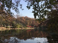 -灵谷景区