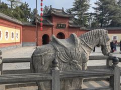 -洛阳白马寺