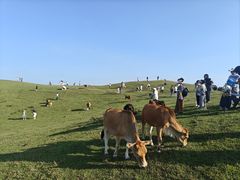 -大姆山草场