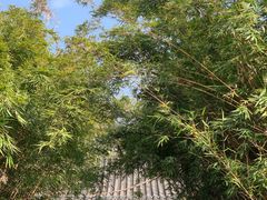 -望江楼公园