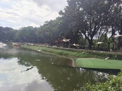 -广州长隆飞鸟乐园