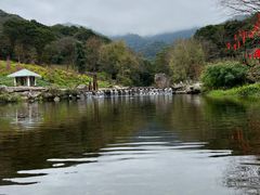 -广州市石门国家森林公园