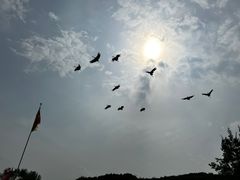 -哈尔滨北方森林动物园