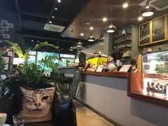 -咖法森林·咖啡  酒吧(天河店)