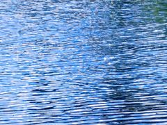 -贵阳市花溪国家城市湿地公园