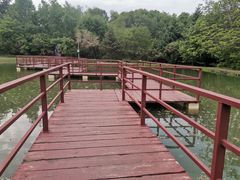 -黑龙江省森林植物园