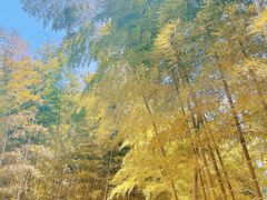 -南北湖风景区
