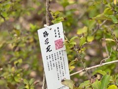-翠湖国家城市湿地公园