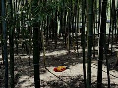 -江南荣村(小溪店)