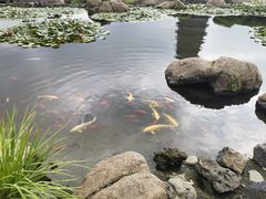 -北京雁栖湖国际会展中心