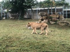 -上方山森林动物世界