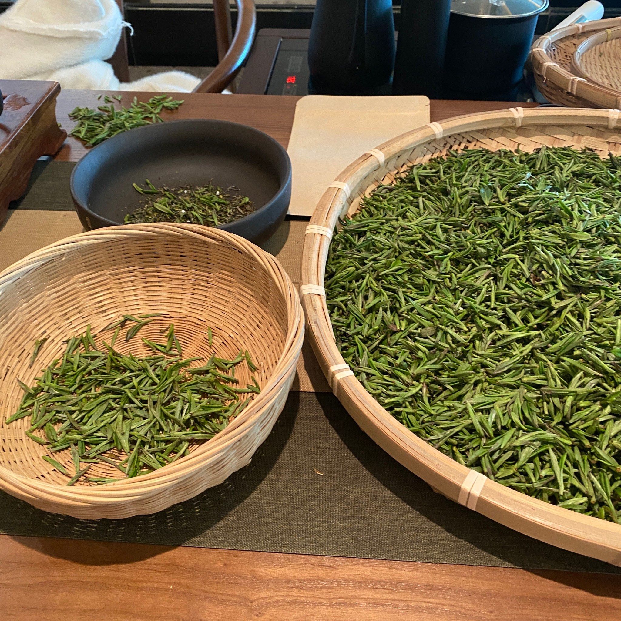 苏州洞庭山 明前头采碧螺春 手工炒茶 非遗文化