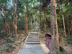 -水濂山森林公园