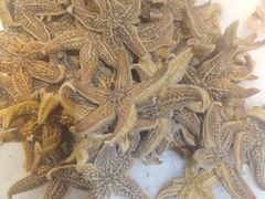 -圣罗巴海鲜烤肉自助(佳兆业店)