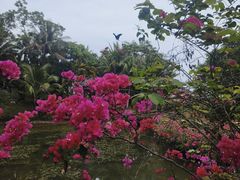 -海南文笔峰盘古文化旅游区