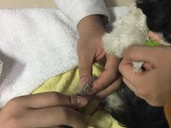 -惠康宠物医院(华能路店)