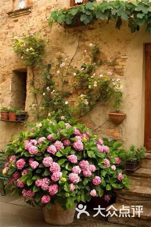 21cake廿一客蛋糕(东环路店)图片 - 第112张