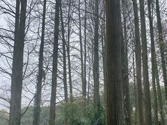 -悦兮半岛温泉度假酒店·餐厅部
