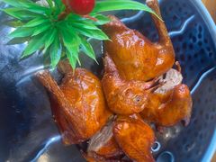 -大鸽饭(马王堆店)