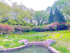 -海淀公园