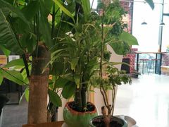 -熊叔熊婶面包房(团结湖店)