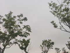 -春花秋色城市公园