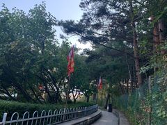 -帽儿山国家森林公园