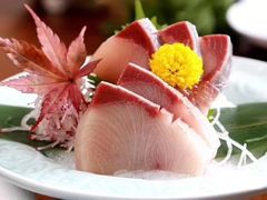 -大吉鲜鱼料理自慢(维也纳大厦店)