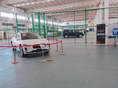 -上海外高桥汽车交易市场