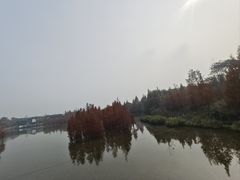 -白鹭湾湿地公园